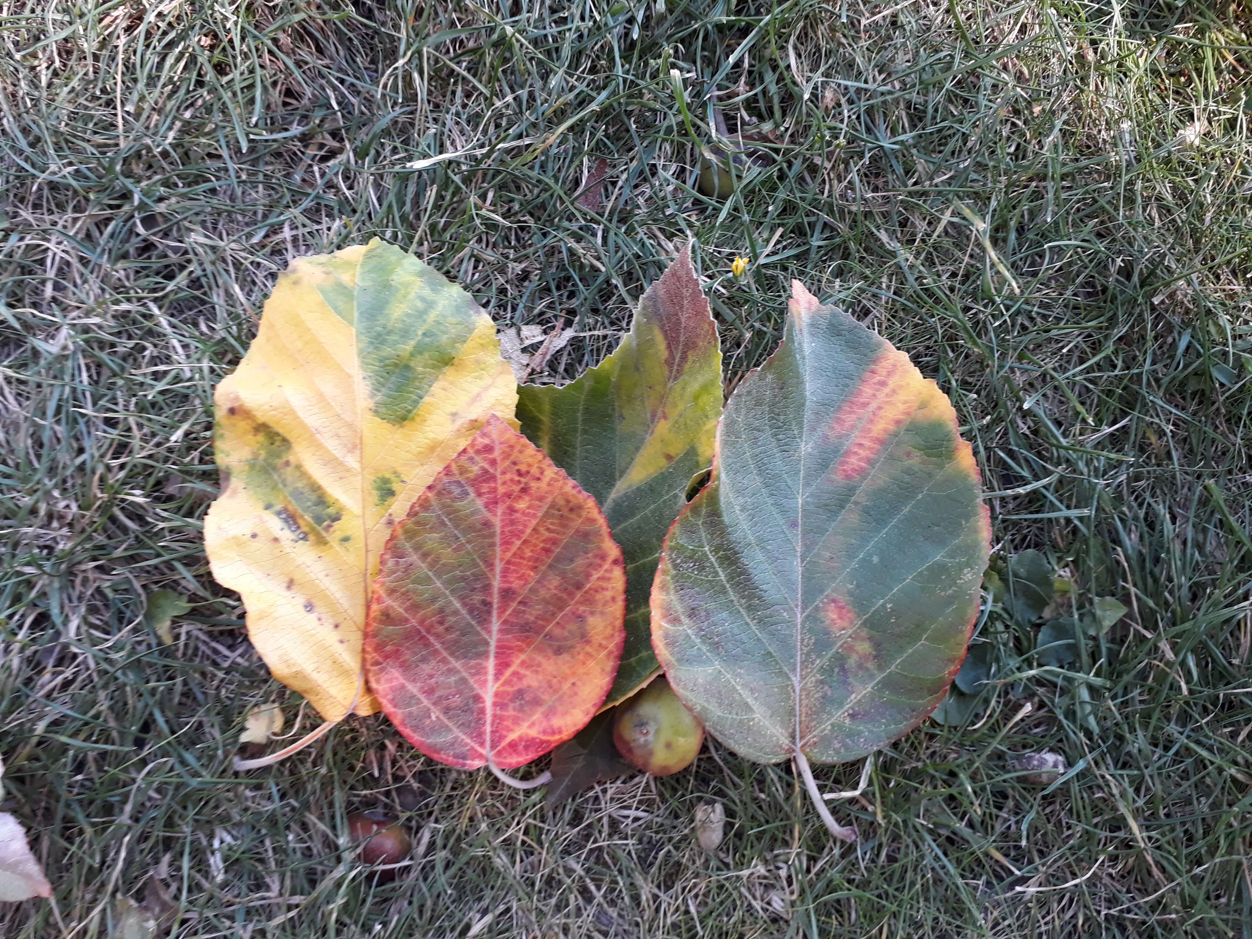 Schöne Herbstferien